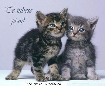 i guess e pisucu' meu? (pisuc = pddm